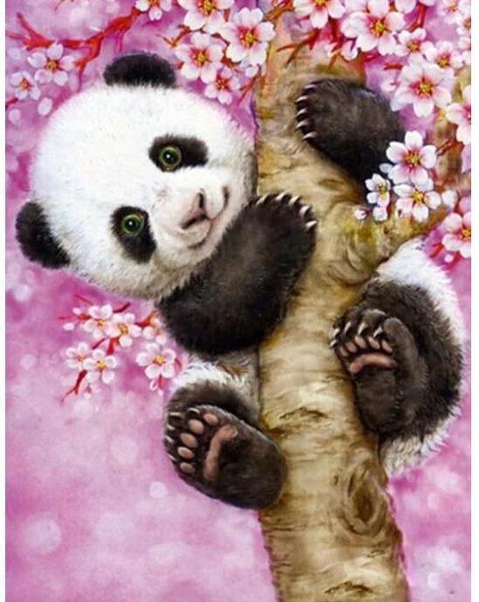 Schilderen op Nummer | Panda - 40x50cm - Exclusief Lijst (24 kleurtjes)